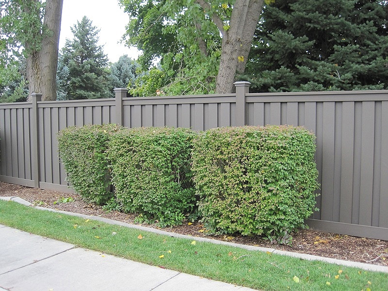 fencing trex