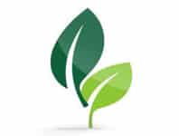 green_leaf