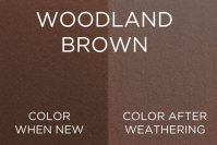 color_woodland